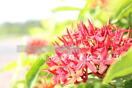 信用卡逾期重组再逾期 信用卡逾期重组再逾期