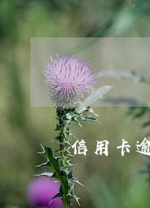 信用卡逾期重组利息