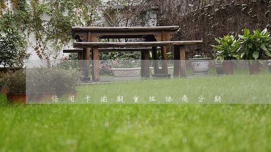 信用卡逾期重组协商分期 信用卡逾期重组协商分期