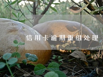 信用卡逾期重组处理