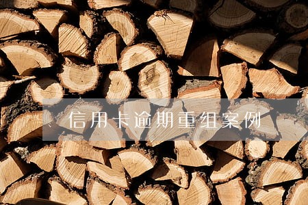 信用卡逾期重组案例 信用卡逾期重组案例