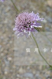 信用卡逾期重组视频 信用卡逾期重组视频