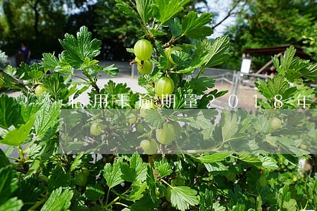 信用卡逾期量2018年