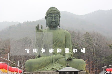 信用卡逾期量数据 信用卡逾期量数据