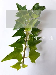信用卡逾期金像信达可以代还吗 信用卡逾期金像信达可以代还吗
