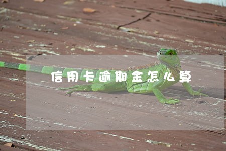 信用卡逾期金怎么算 信用卡逾期金怎么算