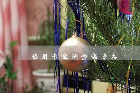 信用卡逾期金收多久 信用卡逾期金收多久