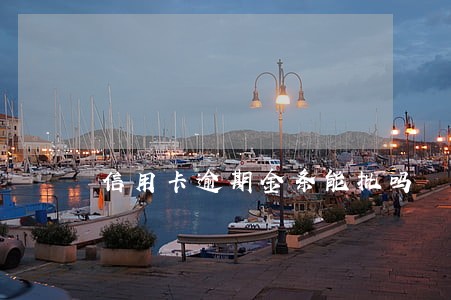 信用卡逾期金条能批吗 信用卡逾期金条能批吗