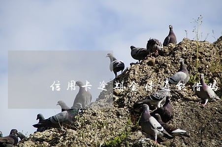 信用卡逾期金条还能借吗