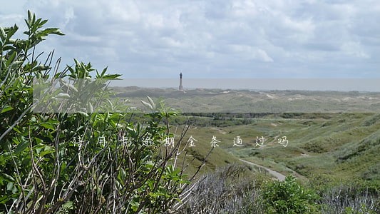 信用卡逾期金条通过吗 信用卡逾期金条通过吗