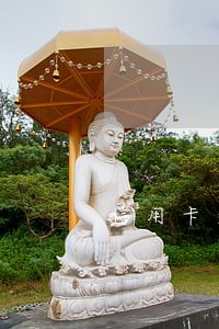 信用卡逾期金要还吗 信用卡逾期金要还吗