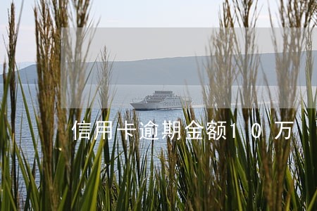 信用卡逾期金额10万 信用卡逾期金额10万