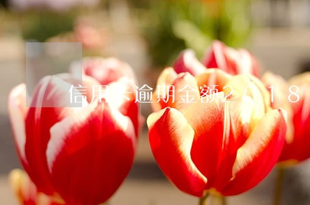 信用卡逾期金额2018