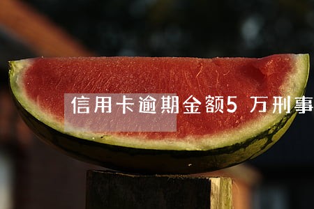 信用卡逾期金额5万刑事责任
