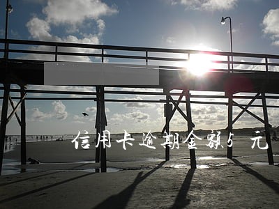 信用卡逾期金额5元