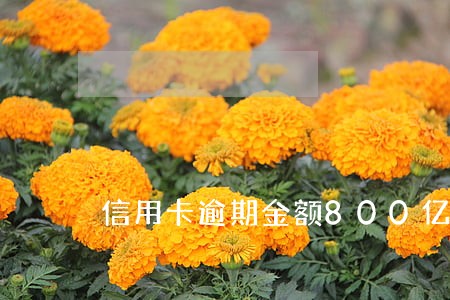 信用卡逾期金额800亿