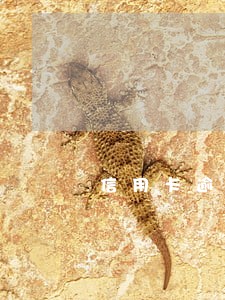 信用卡逾期金额一万