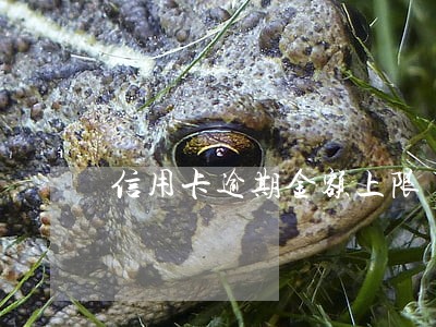 信用卡逾期金额上限 信用卡逾期金额上限