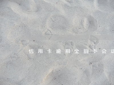 信用卡逾期金额不会动了 信用卡逾期金额不会动了