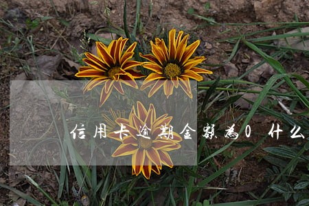 信用卡逾期金额为0什么意思 信用卡逾期金额为0什么意思