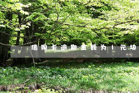 信用卡逾期金额为1元块怎么 信用卡逾期金额为1元块怎么