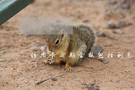 信用卡逾期金额包括利息违约金吗 信用卡逾期金额包括利息违约金吗