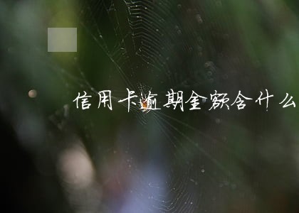 信用卡逾期金额含什么 信用卡逾期金额含什么
