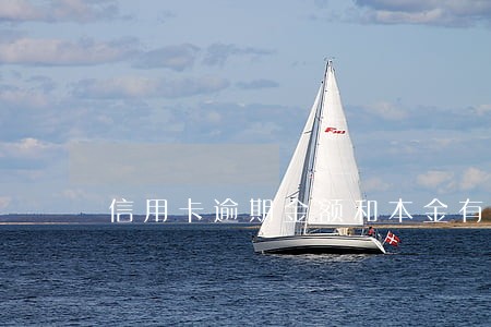 信用卡逾期金额和本金有什么区别
