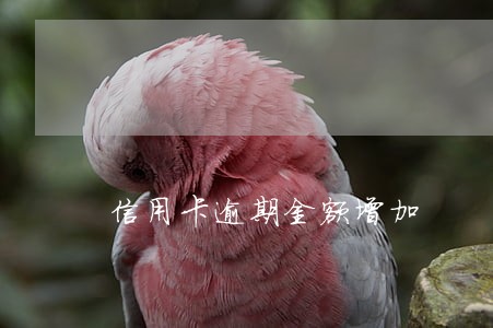 信用卡逾期金额增加 信用卡逾期金额增加