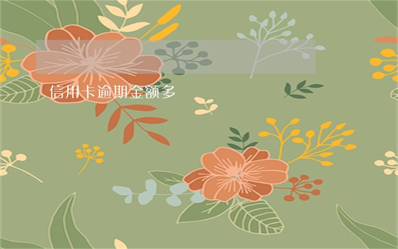 信用卡逾期金额多 信用卡逾期金额多