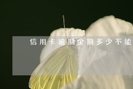 信用卡逾期金额多少不能贷款 信用卡逾期金额多少不能贷款