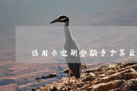信用卡逾期金额多少算巨大 信用卡逾期金额多少算巨大