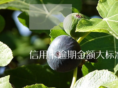 信用卡逾期金额大标准