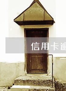 信用卡逾期金额巨大自首
