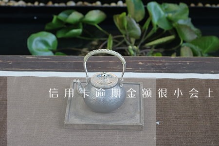 信用卡逾期金额很小会上征信 信用卡逾期金额很小会上征信