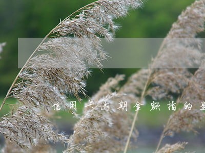 信用卡逾期金额指的是什么意思 信用卡逾期金额指的是什么意思