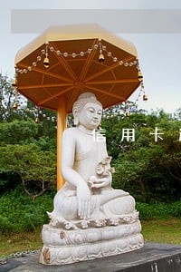 信用卡逾期金额新标准