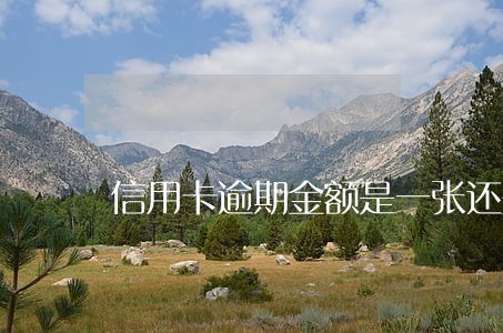 信用卡逾期金额是一张还是多张 信用卡逾期金额是一张还是多张