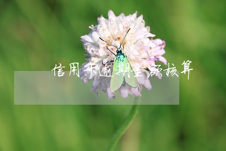 信用卡逾期金额核算