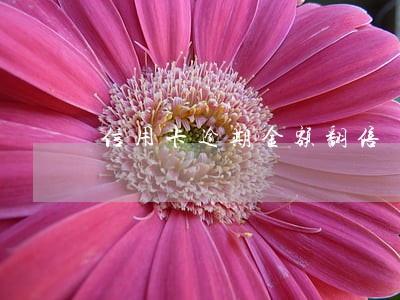 信用卡逾期金额翻倍 信用卡逾期金额翻倍