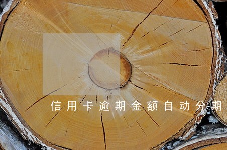 信用卡逾期金额自动分期 信用卡逾期金额自动分期