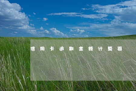 信用卡逾期金额计算器 信用卡逾期金额计算器