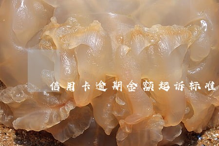 信用卡逾期金额起诉标准最新司法解释 信用卡逾期金额起诉标准最新司法解释