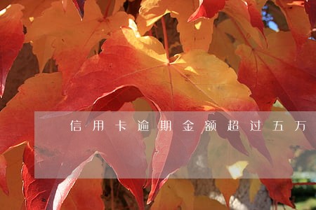 信用卡逾期金额超过五万 信用卡逾期金额超过五万