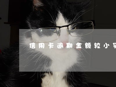 信用卡逾期金额较小贷已批 信用卡逾期金额较小贷已批