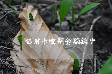 信用卡逾期金额较少 信用卡逾期金额较少