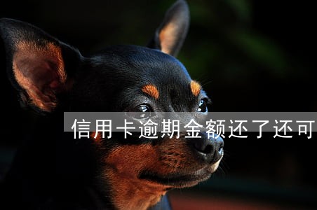 信用卡逾期金额还了还可以用吗 信用卡逾期金额还了还可以用吗