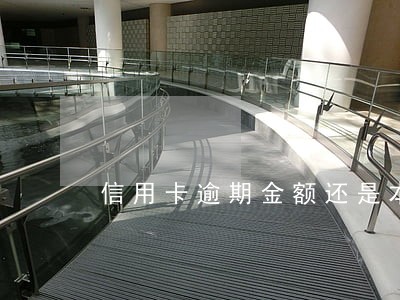 信用卡逾期金额还是本金