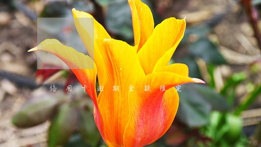 信用卡逾期金额限定 信用卡逾期金额限定