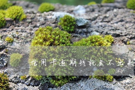 信用卡逾期钱就套不出来了吗 信用卡逾期钱就套不出来了吗